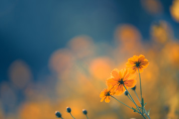 【2021java二级考什么比较好,java二级考试范围】