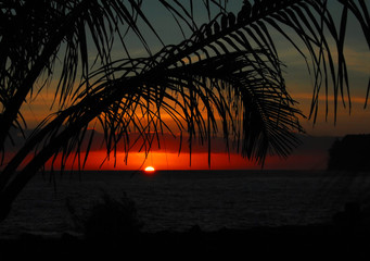 今天都有什么车限行/今天机动车是否限行