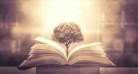 银泰样板房/银泰户型