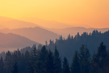 【中高风险地区名单最新查询,中高风险地区最新名单731】