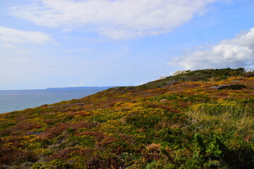 【疫情上海,疫情上海疫情】