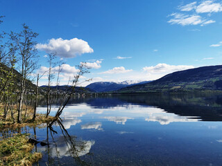 河南商丘新增一例本土无症状感染者/河南商丘确诊新型肺炎