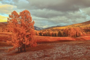 车型图片大全/所有车型图片大全