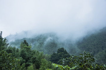 【南京现1名阳性人员:系引航站引航员,南京发现1例境外输入关联阳性人员】